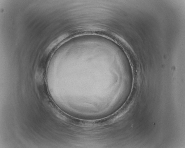 X0000081490873200701262051