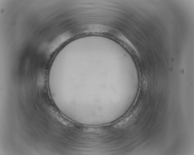 X0000081490874200701262051