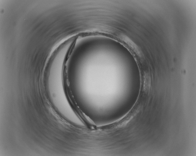 X0000081490876200701262051