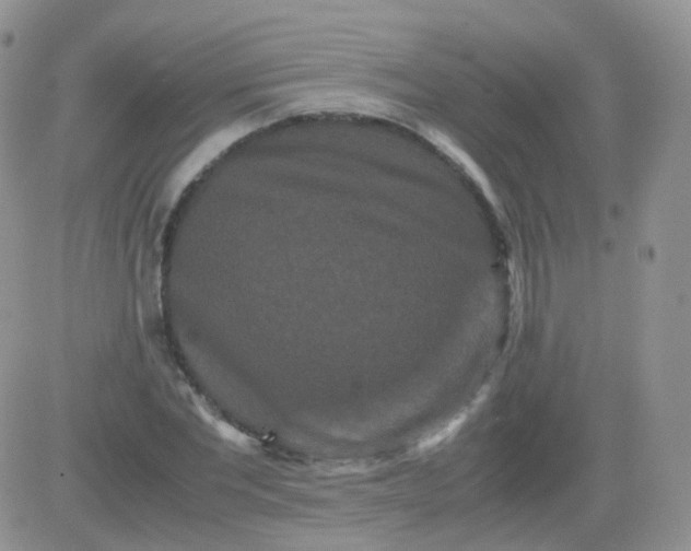 X0000081490877200701262051