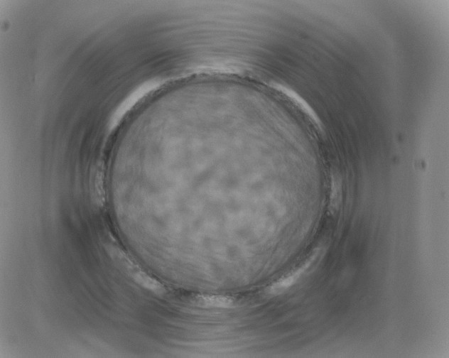 X0000081490878200701262051