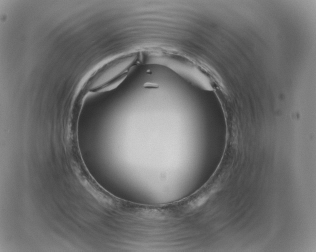 X0000081490880200701262051