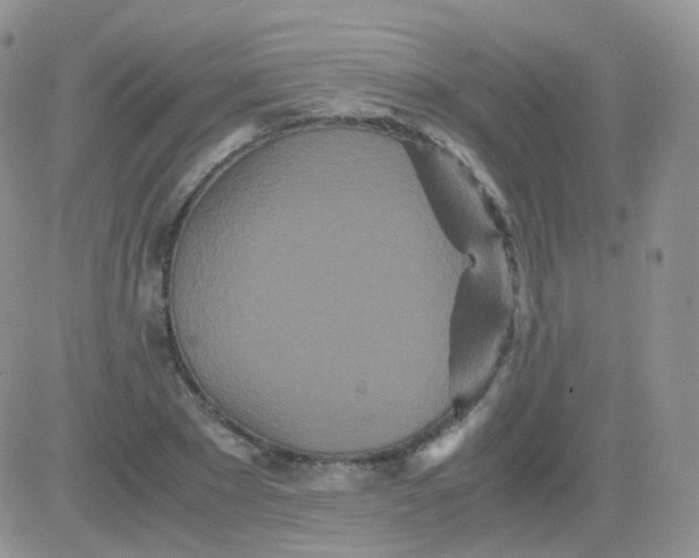 X0000081490881200701262051