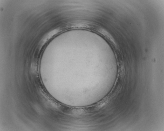 X0000081490882200701262051