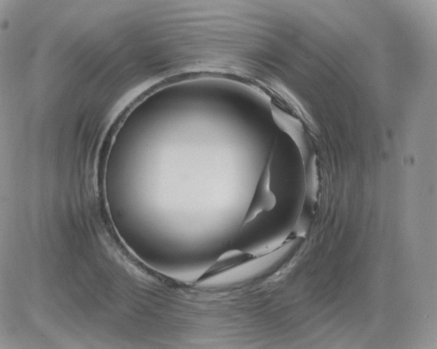 X0000081490884200701262051