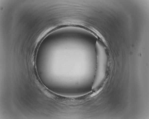 X0000081490885200701262051