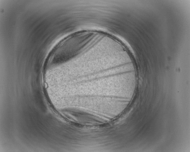 X0000081490887200701262051