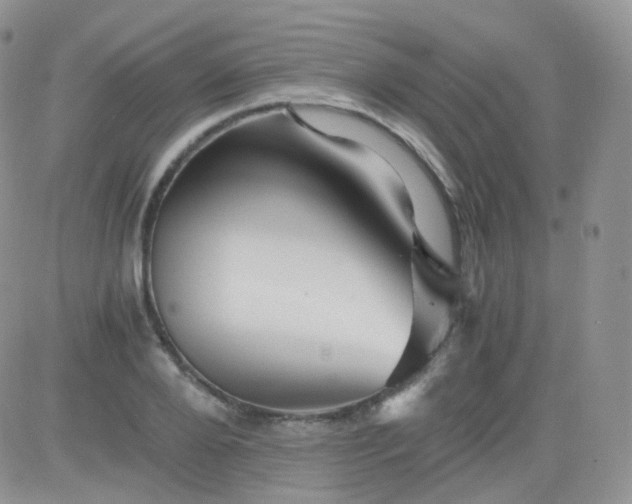 X0000081490888200701262051