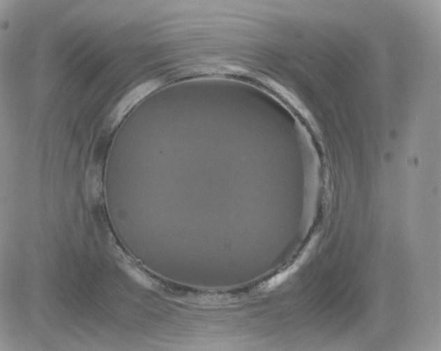 X0000081490889200701262051