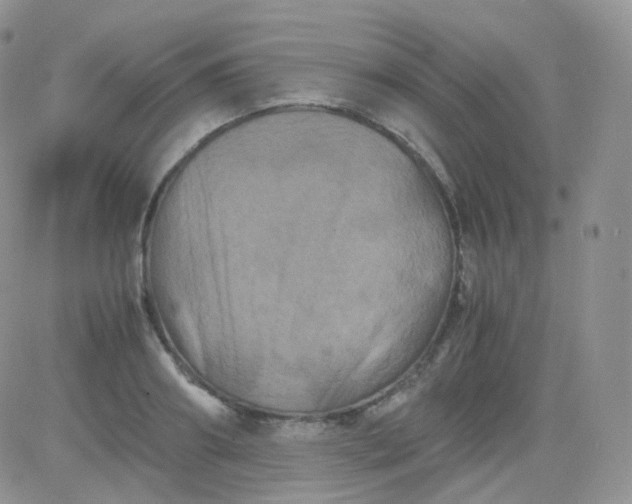 X0000081490890200701262051