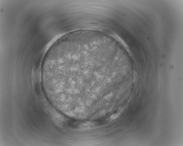 X0000081490891200701262051