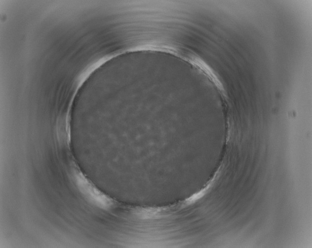 X0000081490892200701262051