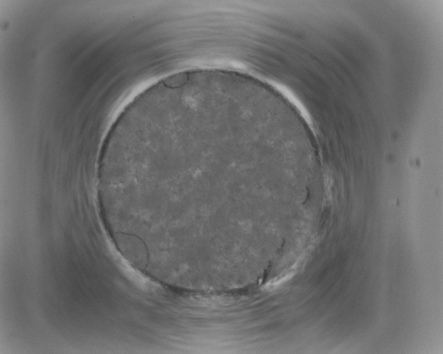 X0000081490895200701262051