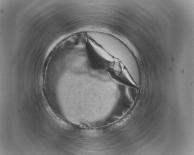 X0000081490896200701262051