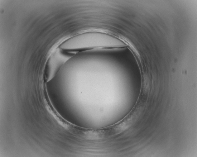 X0000081490898200701262051