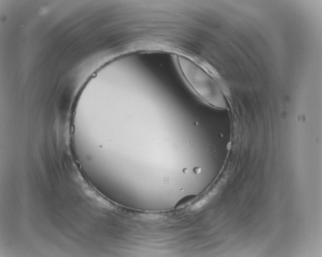 X0000081490904200701262051