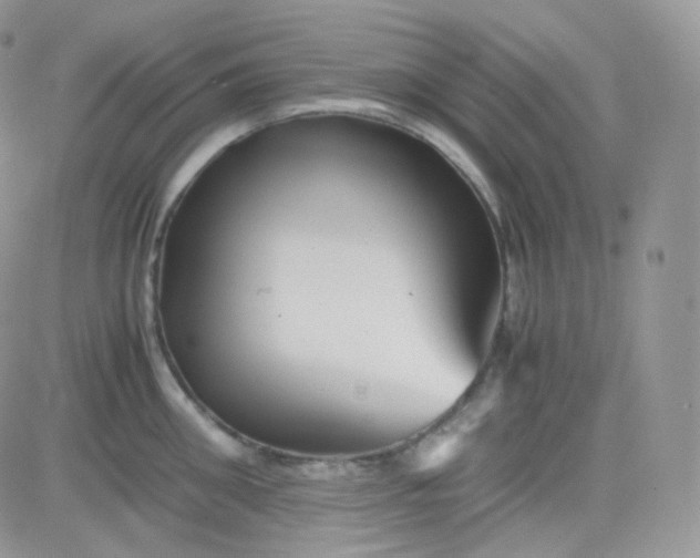 X0000081490906200701262051