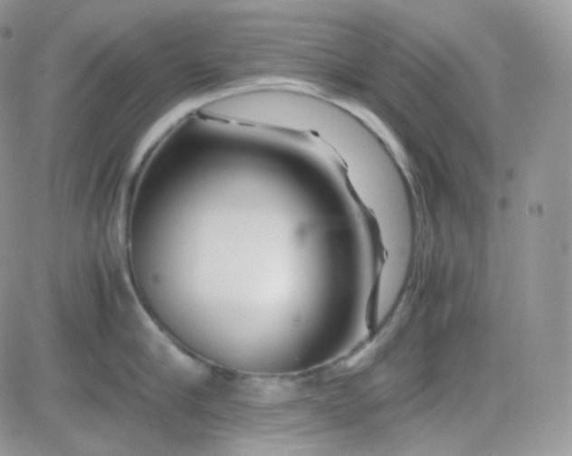 X0000081490910200701262050