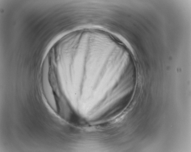 X0000081490911200701262050