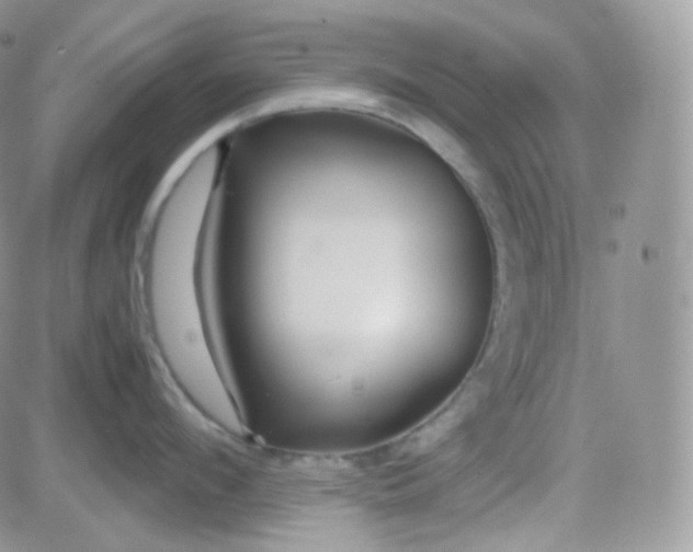 X0000081490912200701262050