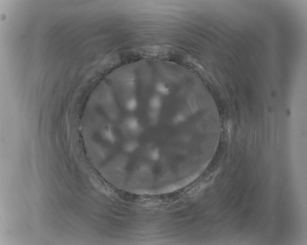 X0000081490913200701262050