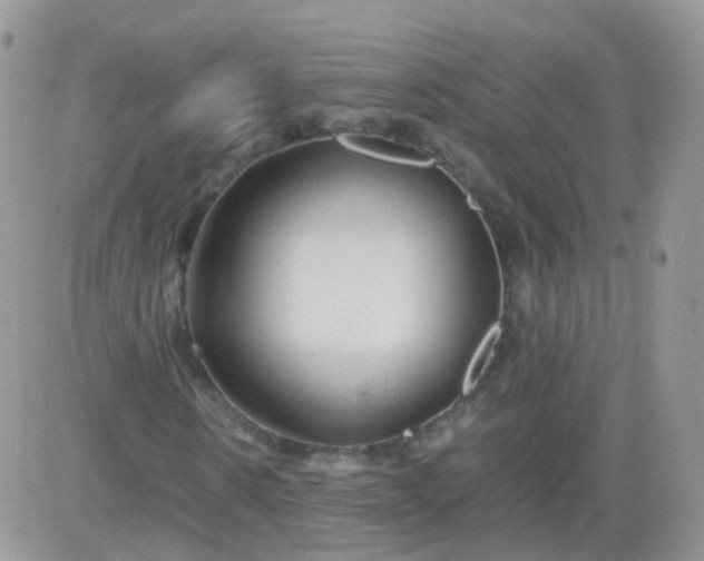 X0000081490914200701262050