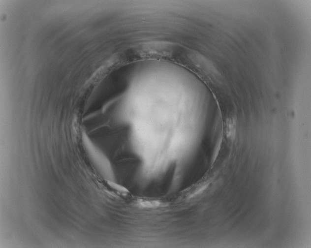 X0000081490915200701262050