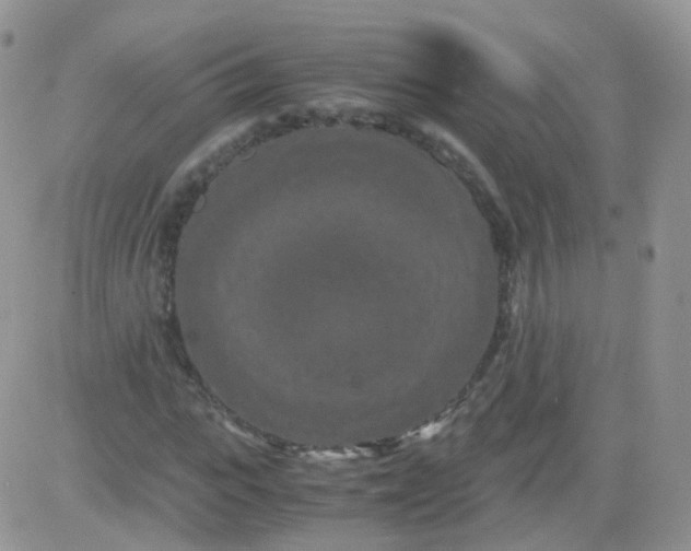 X0000081490919200701262050