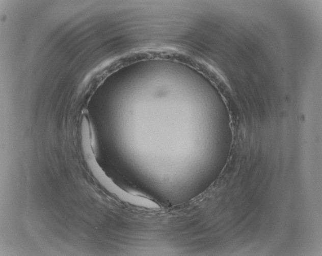 X0000081490920200701262050