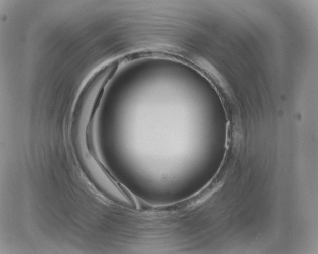 X0000081490924200701262050