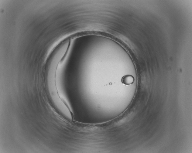 X0000081490926200701262050