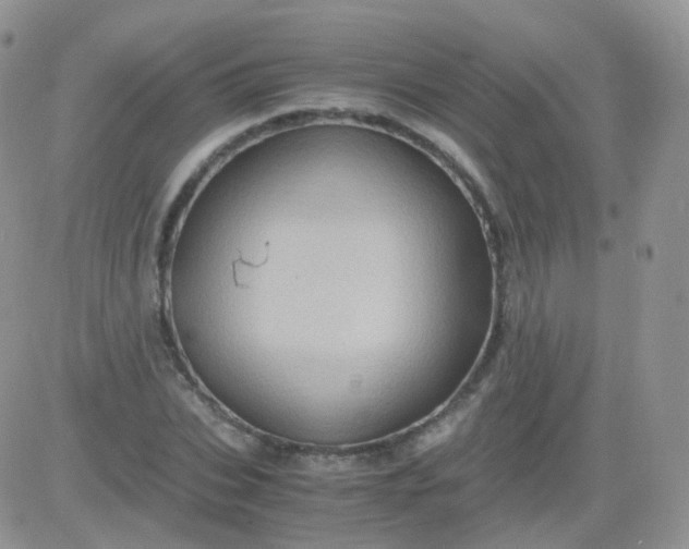 X0000081490927200701262050