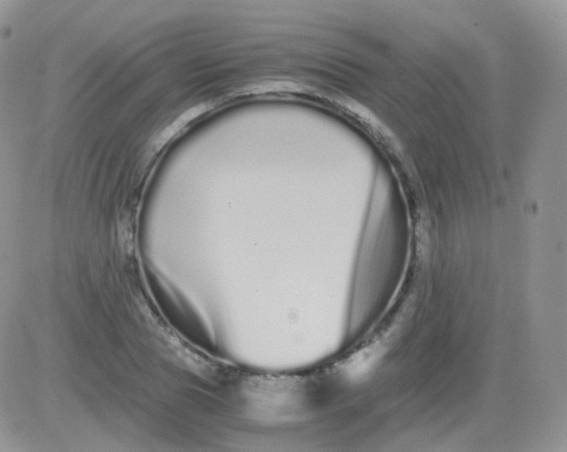 X0000081490929200701262050