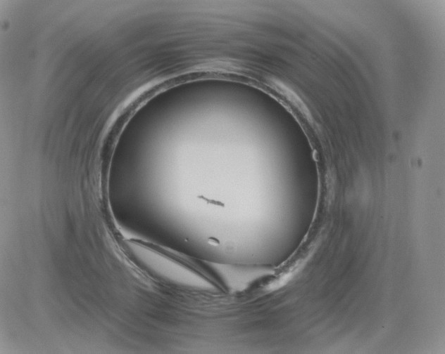 X0000081490931200701262050