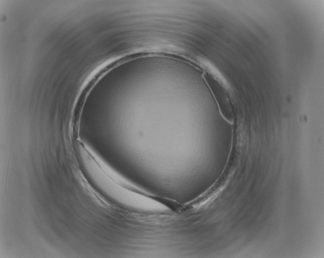 X0000081490932200701262050