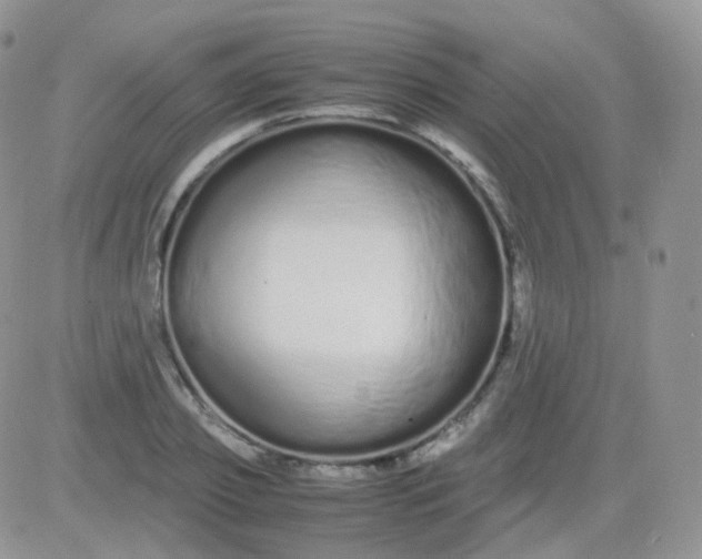 X0000081490933200701262050