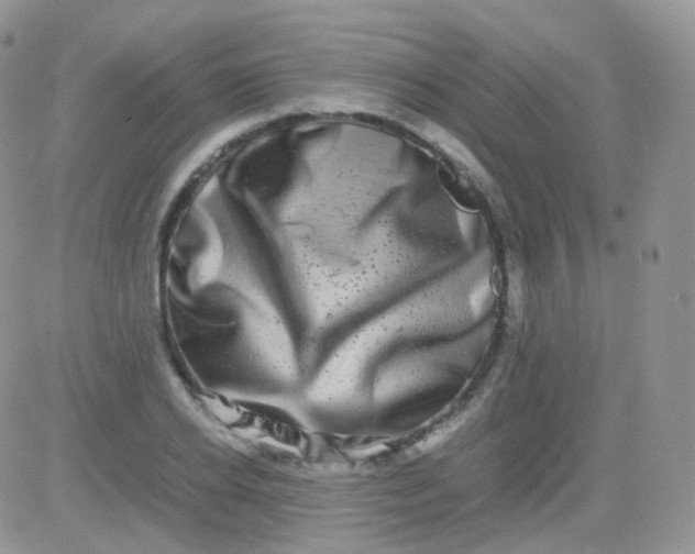 X0000081490934200701262050