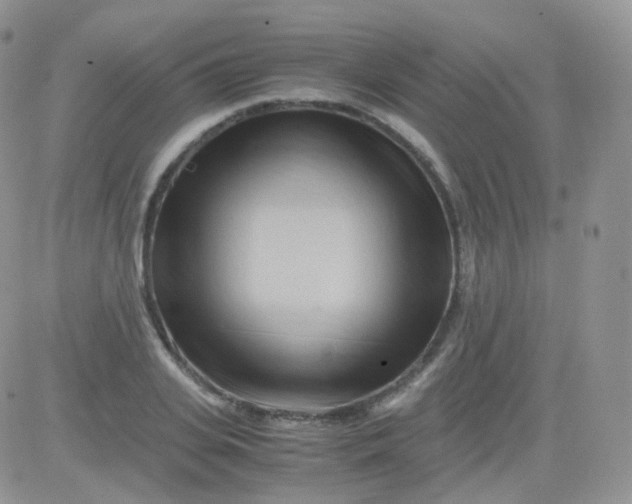 X0000081490935200701262050