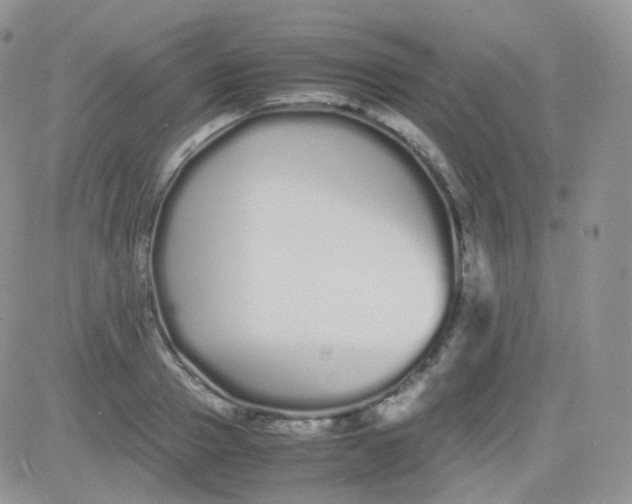 X0000081490937200701262050