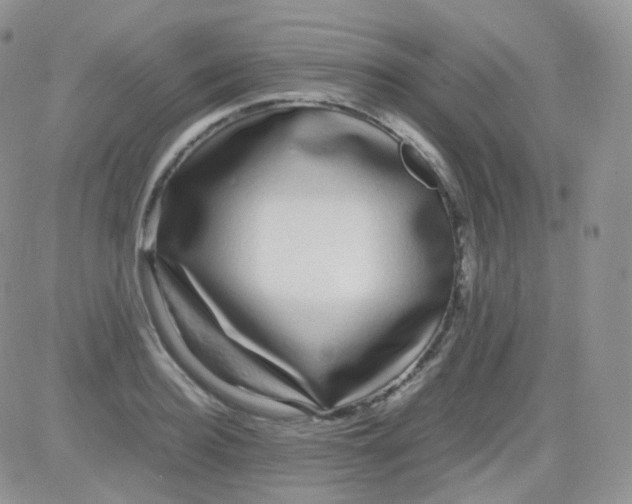 X0000081490940200701262050