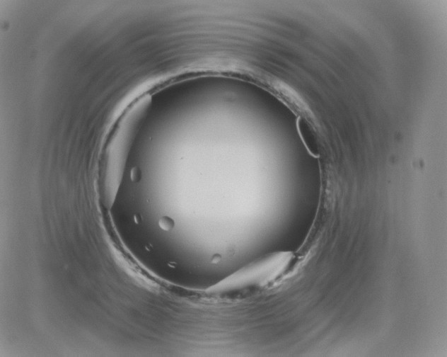 X0000081490942200701262050