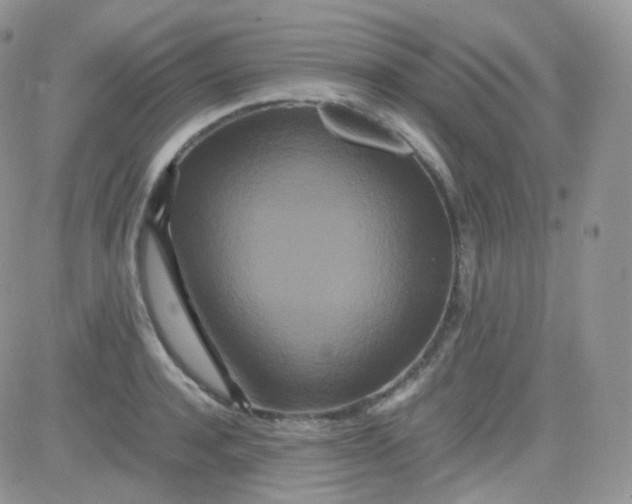 X0000081490944200701262050