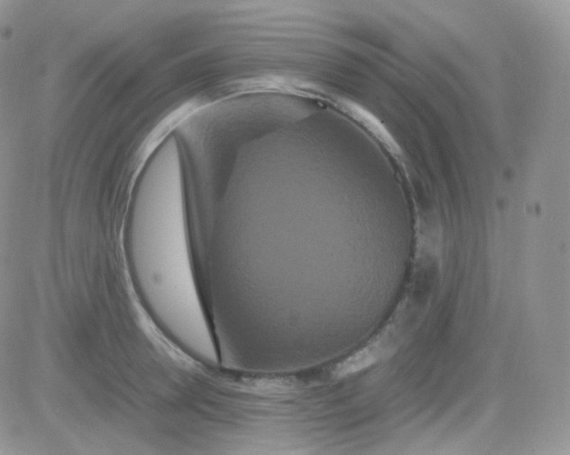 X0000081490946200701262050