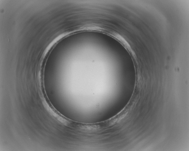 X0000081490947200701262050