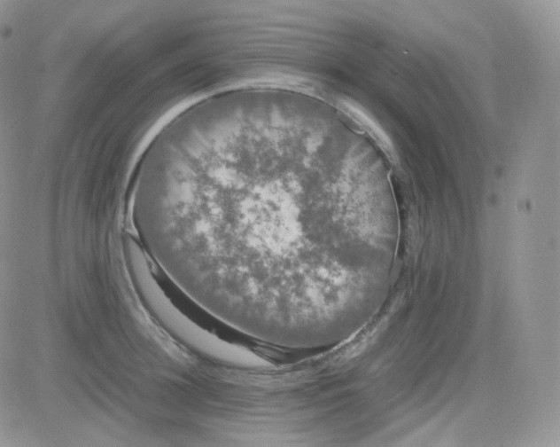 X0000081490948200701262050