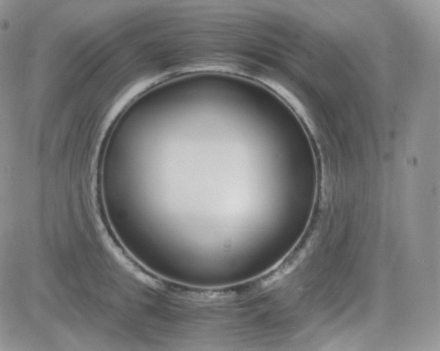 X0000081490949200701262050