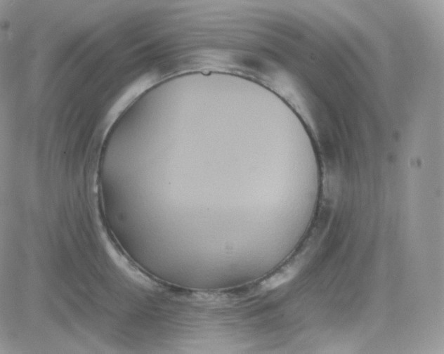 X0000081490954200701262050