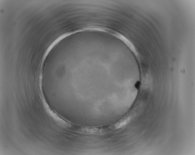 X0000081490955200701262050