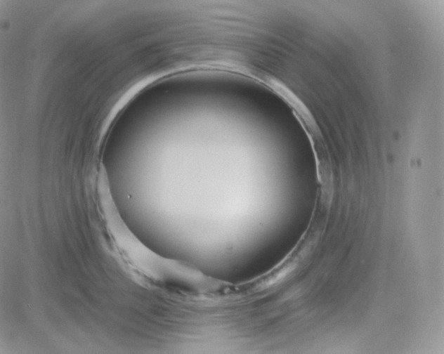 X0000081490956200701262050