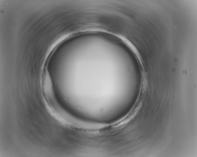 X0000081490957200701262050